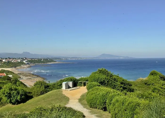 & Gochoki 3* 비다르