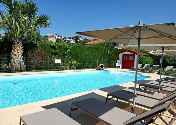 호텔 & Gochoki 비다르