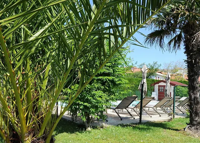 호텔 & Gochoki 비다르