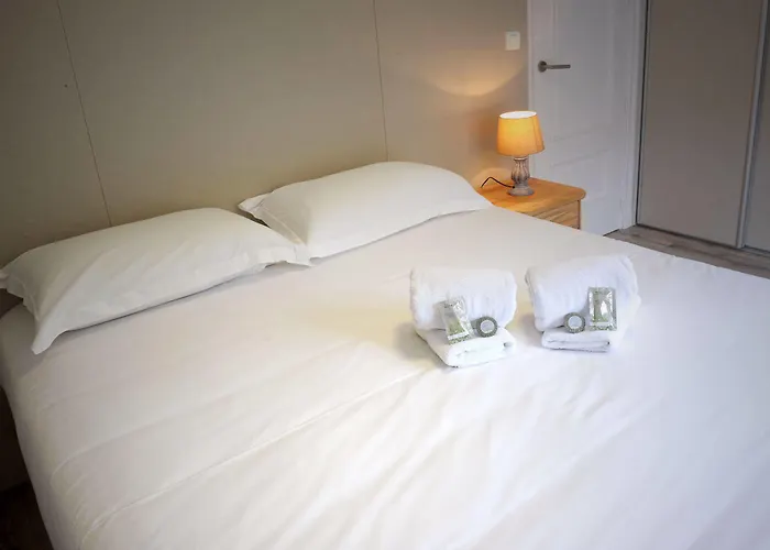 & Gochoki 3* 비다르